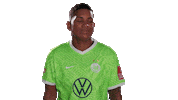 Van De Sanden No Sticker by VfL Wolfsburg