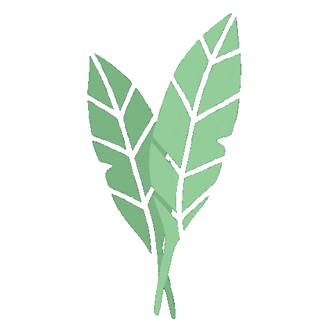 agenciarosa giphyupload creative plant plants Sticker