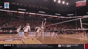 ncaasports ncaa volleyball stanford cardinal GIF