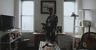 mergerecords cat modelo bob dylan titus GIF