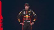 Ver Red Bull GIF by Red Bull Racing Honda