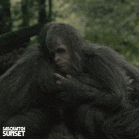 Jesse Eisenberg Bigfoot GIF by Bleecker Street