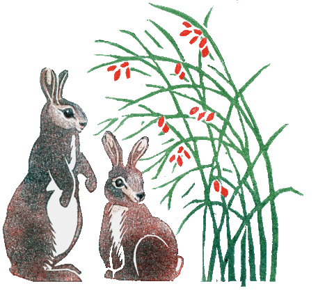 Nussknacker Schwan Sticker by BrandstaetterVerlag