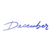 Winter December Sticker by megan lockhart