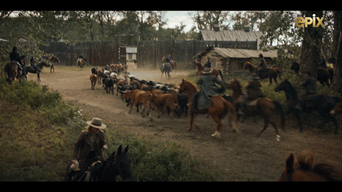 Share Throw GIF by MGM+