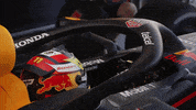 GIF by Red Bull Racing