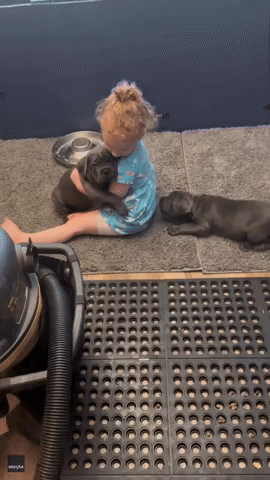 Little Girl Has Hard Time With All the Puppy Love She's Receiving