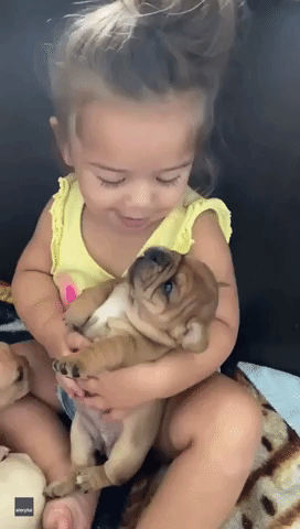 Toddler Can't Stop Cuddling New Puppy