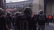 Football Nfl GIF by New England Patriots