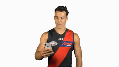 essendonfc giphyupload dons bombers essendon GIF
