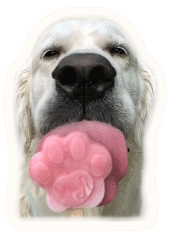Smoofl giphyupload icecream smoofl dogicecream Sticker