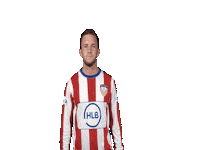 VVALFASPORT alfa sport marc hermens Sticker