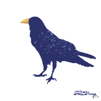 Magic Bird Sticker by Bianca Marais Author