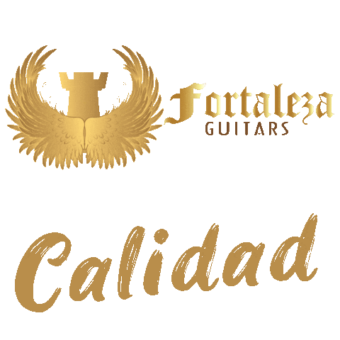 fortalezaguitars mexico usa fortaleza grupo Sticker