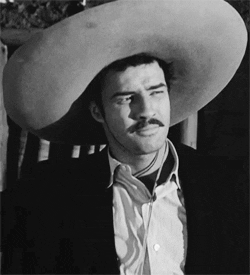 marlon brando GIF