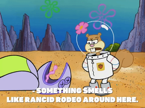 season 4 whale of a birthday GIF by SpongeBob SquarePants