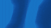 Football Sport GIF by Seattle Seahawks