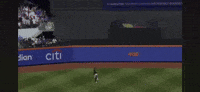 Pittsburgh Pirates Pirate GIF