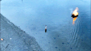 bates motel GIF by A&E