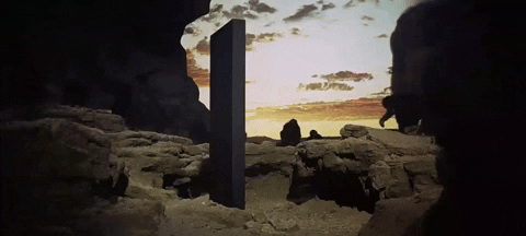 Disciplinatha giphyupload GIF