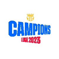 La Liga Football Sticker by FC Barcelona