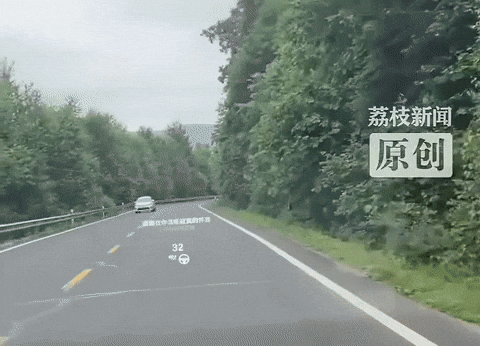 cuteanimalland giphyupload GIF