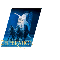ahoyrotterdam celebration rotterdam ahoy horse show Sticker
