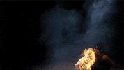 the matrix bullet time GIF by Digg
