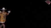 Lax GIF by CUCougars