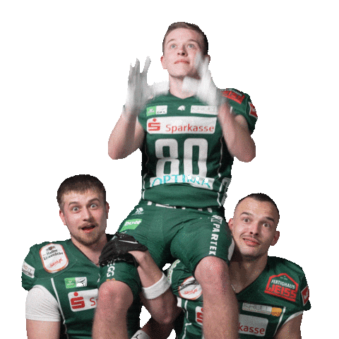 Football Catch Sticker by Schwäbisch Hall Unicorns