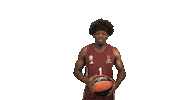 Arrow Passing Sticker by FC Bayern Basketball