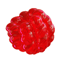 Summer Raspberry Sticker by Multicolore