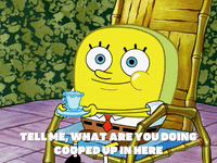 season 6 GIF by SpongeBob SquarePants