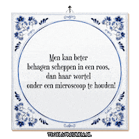 Nl Roos Sticker by Tegelspreuken.nl
