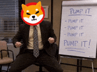 Shib Coin GIF by SHIB GIFS