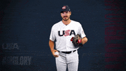 Pro GIF by USA Baseball