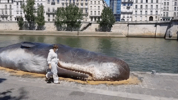 Belgian Artists Create Realistic Beached Whale Along Paris' Seine