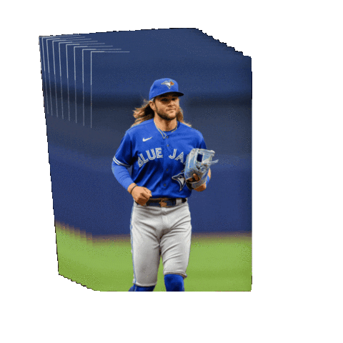 Sticker by Rawlings Canada