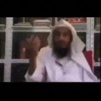 Kafer GIF