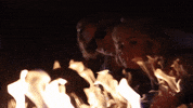 Without You The Kid Laroi GIF by Miley Cyrus