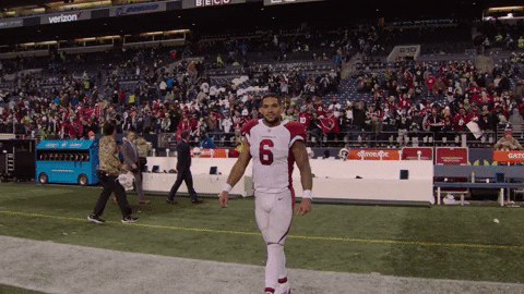 James Conner Win GIF by Arizona Cardinals