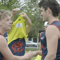 Melbourne Football Club Demons GIF by Melbournefc