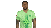 Happy Germany Sticker by VfL Wolfsburg