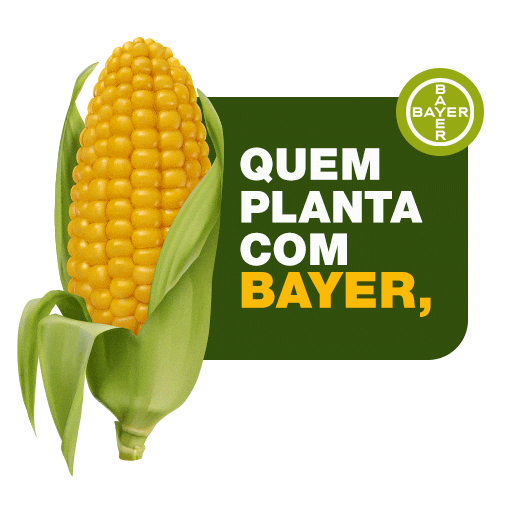 Bayer Sticker by Bollgard