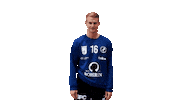 Wave Hallo Sticker by Bregenz Handball