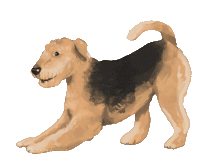 DoveLewisPDX dog waggingtail wetnose dovelewis Sticker