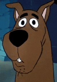 Scared Scooby Doo GIF