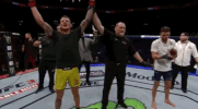 ufc 223 sport GIF by UFC