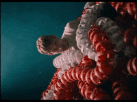 Angry Give Up GIF by IOCDF