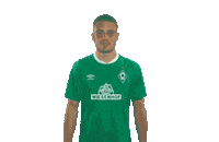 Football Bundesliga Sticker by SV Werder Bremen